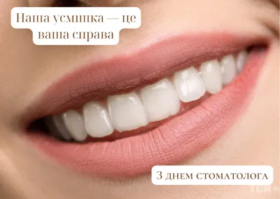 С Международным Днём Стоматолога!9 февраля!Россия,Беларусь,Казахстан и... |  TikTok
