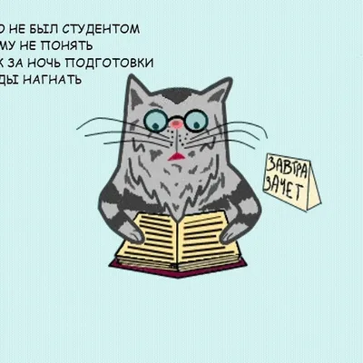 Классные поздравления с Днем студента 2019 в прозе и открытках - Телеграф