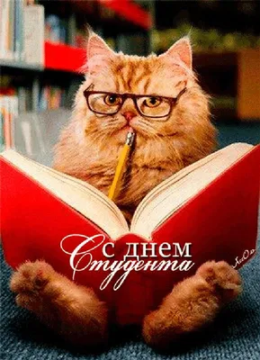 Новые прикольные поздравления с Днем студентов в Татьянин день для всех  российских студентов 25 января