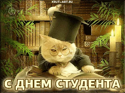 Смешные картинки с днем студента, бесплатно скачать или отправить