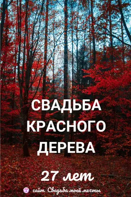 Торты на Годовщину 27 лет (Красного дерева) 6 фото с ценами скидками и  доставкой в Москве