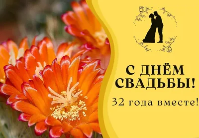 с годовщиной свадьбы 32 года поздравления｜Поиск в TikTok