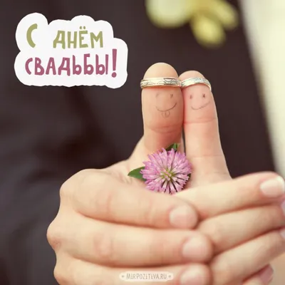 Прикольные открытки “С днем Свадьбы!” (42 фото) - shutniks.com