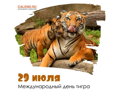 29 июля - Международный день тигра | 29.07.2021 | Междуреченск - БезФормата