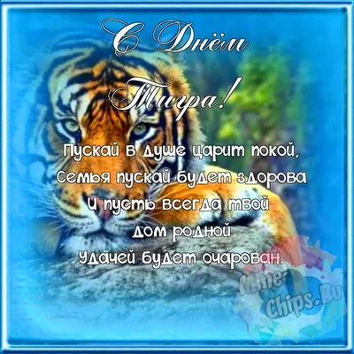 29 июля Международный День Тигра | KazDATA INSIDER