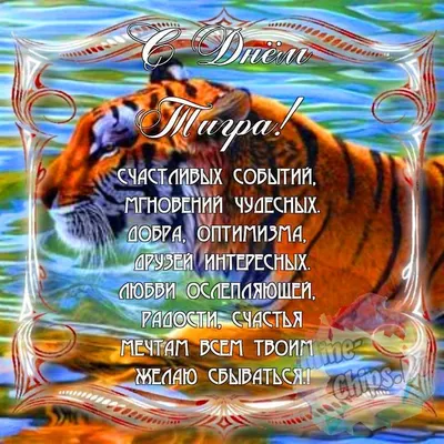 Красивые картинки с днем тигра, бесплатно скачать или отправить
