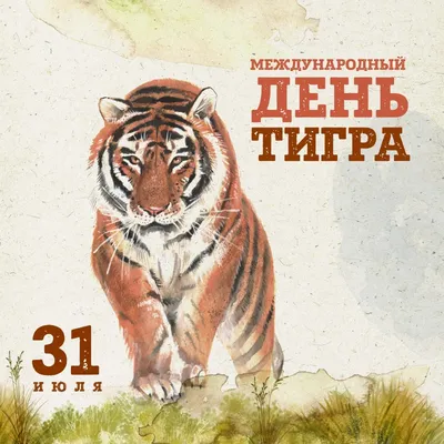 Проект \"Экспонат дня\": «День Тигра» на Дальнем Востоке во Владивостоке в  Антикварная галерея Раритет