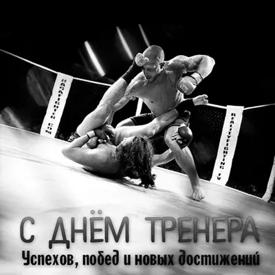 Федерация Бокса России