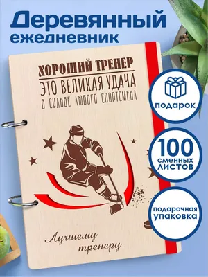 Клуб Динамо Москва по хоккею с мячом: кубок ледовой дружины