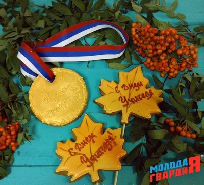 16 мая - День работников физической культуры и спорта - Дятловский ФСК