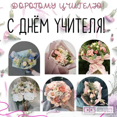 Открытка с Днем Учителя Картинка — скачать бесплатно