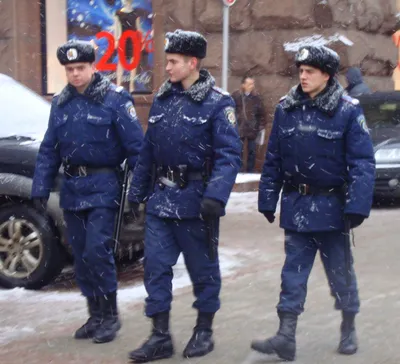 В Украине отмечается День налоговой милиции | ASPI: События в Украине и в  мире, Последние новости Украина