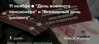 День военного пенсионера в России: Когда отмечается - Новая Сибирь online