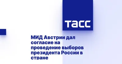 Что будут делать россияне в день выборов - ТАСС