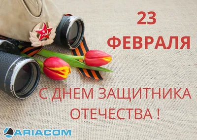 Поздравляем с Днем защитника Отечества! — Управление образования  администрации города Белгорода