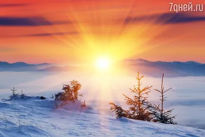 День зимнего солнцестояния в 2023: дата, что это, традиции, приметы -  Российская газета