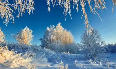 День зимнего солнцестояния и славянской культуры во Владивостоке 21 декабря  2019 в Межрегиональный Центр Кинезиологии и Нейрокинезиологии