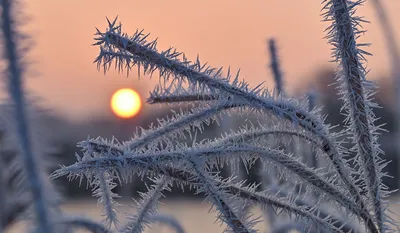 День зимнего солнцестояния - Праздник