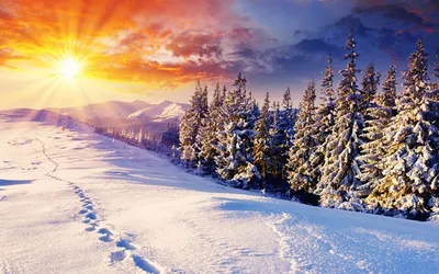 Йоль: ритуалы, рецепты и обряды в день зимнего солнцестояния, Сьюзен  Пешнекер – скачать книгу fb2, epub, pdf на ЛитРес