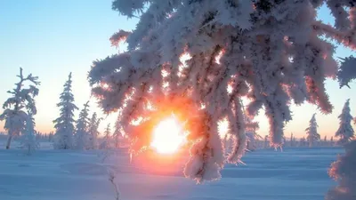 🌞21 число в декабре является днем зимнего солнцестояния. Длится этот  период до 22 декабря. Ночь с 21 на 22 считается самой длинной в году. … |  Instagram