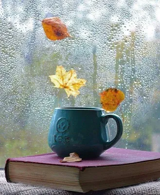 Мудрость жизни - Пусть ваш ноябрь будет красивым, Тёплым,... | Facebook