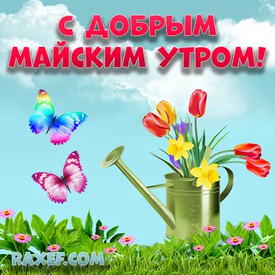 Открытки \"Доброго майского утра!\" (100+)