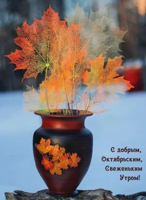 Картинка - Желаю тебе самого прекрасного и доброго октябрьского утра!.