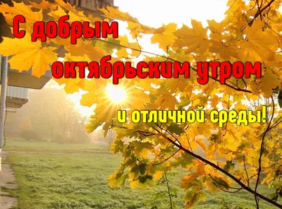 Картинка - Доброе октябрьское утро..