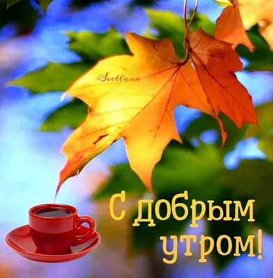 Прикольная открытка \"С Добрым утром Среды\", с ёжиком • Аудио от Путина,  голосовые, музыкальные