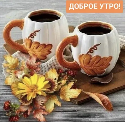 С добрым утром друзья ☕❄️#1ноября #доброе_утро #сдобрымутром | TikTok