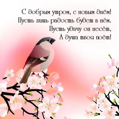 С добрым утром, новым днем и хорошим настроением! — Скачайте на Davno.ru