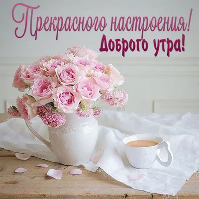 С добрым утром!#видеооткрытка #открыткасдобрымутром#открытка #рекоменд... |  TikTok