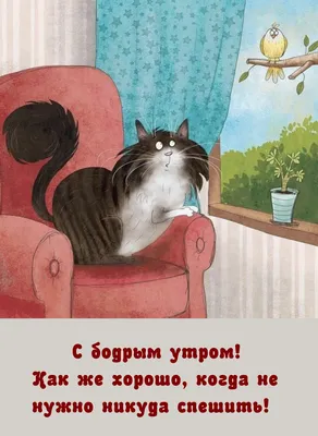 Картинки \"Доброе утро понедельника\". (175 шт.) | Утро понедельника, Доброе  утро, Цитаты про утро понедельника