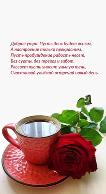С добрым утром, новым днём!!! Приятного начала дня!!! 😊🍮 | ВКонтакте