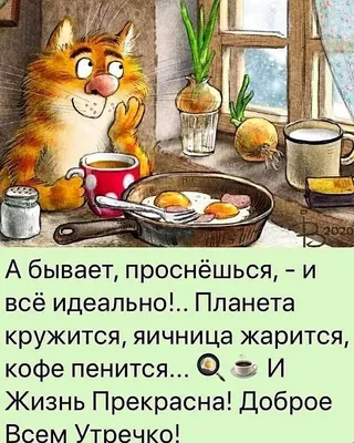 Прикольные картинки \"Доброе утро\" 👍 😄 (285 шт.) | Доброе утро, Смешные  открытки, Открытки