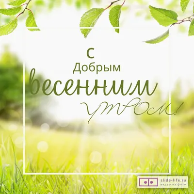 Открытка с добрым утром весна — Slide-Life.ru