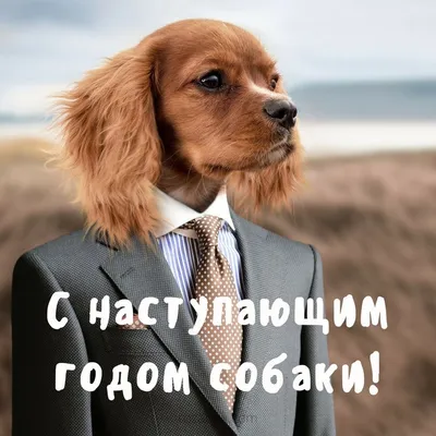 Аппликация С годом Собаки 2018 1/10 купить в 55опторг (АВ43202) по цене  32.50 руб.