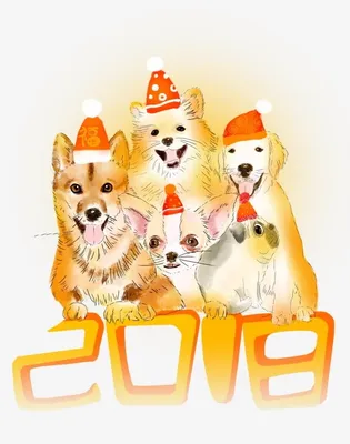 Фото Собаки Новый год на ветке Электрическая гирлянда Взгляд
