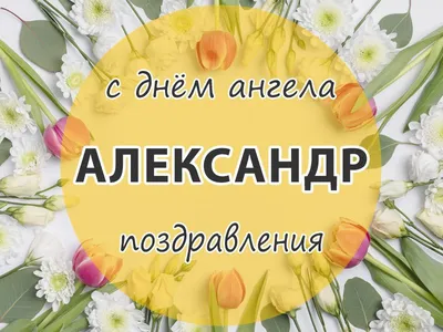 День ангела Александра 2020: поздравления в стихах и прозе, смс, открытки,  видео | OBOZ.UA