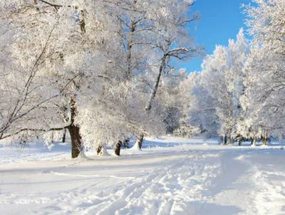 Новогоднее настроение приближается с каждым морозным днём ❄️❤️💫 #зима  #winter #осень #санктпетербург #russia #россия #снег #красота… | Instagram