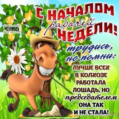 27 неделя года. Энергия новой недели — Андрей Черников на TenChat.ru