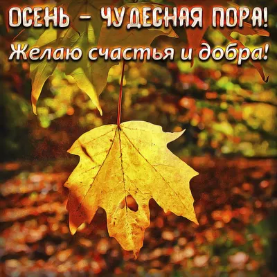 Первый день осени 2022 - открытки, смс и поздравления в стихах - Апостроф