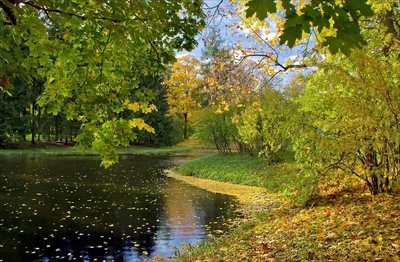 💐Поздравляем всех с Днём Знаний и началом осени! С радостью сообщаем, что  сегодня в первый класс пошли те, кому вы когда-то помогли на… | Instagram