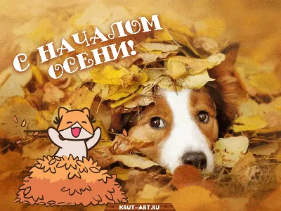 В Кировской области начало осени будет тёплым » ГТРК Вятка - новости Кирова  и Кировской области