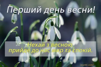 Поздравления с первым днем весны: лучшие картинки, стихи и поздравления  своими словами