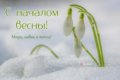 Всех поздравляем с началом весны! - Скачайте на Davno.ru