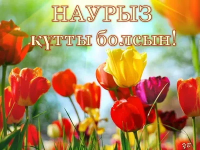 праздник#Наурыз#весна# ПОЗДРАВЛЯЮ С ПРАЗДНИКОМ НАУРЫЗ! | TikTok