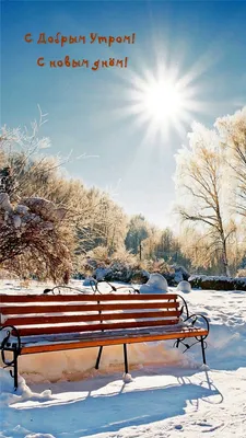 Картинки с новым снежным днем (56 фото) » Картинки и статусы про окружающий  мир вокруг