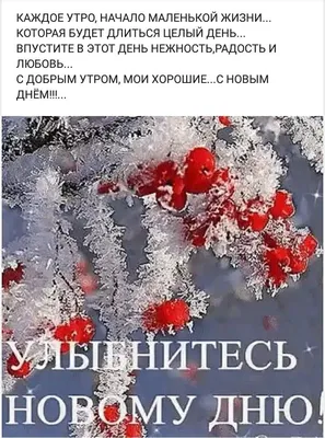 Пин от пользователя Лёля Galustyan на доске Зимние пожелания + новогодние |  Доброе утро, Зимние цитаты, Рождественские поздравления