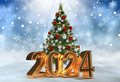 С новым 2024 годом и Рождеством Христовым! | Муромский Институт